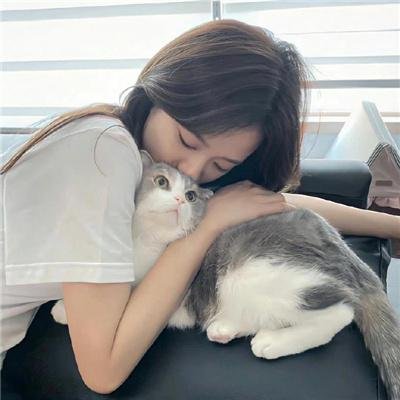 铁骑金军
